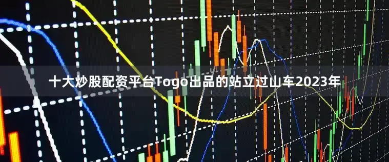 十大炒股配资平台Togo出品的站立过山车2023年