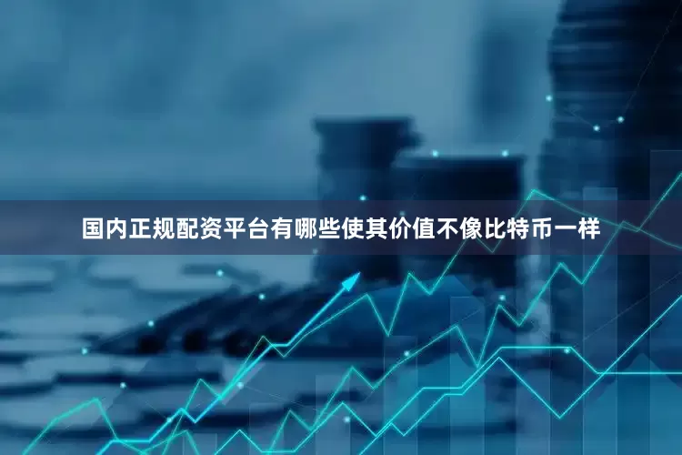国内正规配资平台有哪些使其价值不像比特币一样