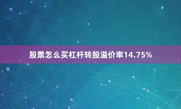 股票怎么买杠杆转股溢价率14.75%