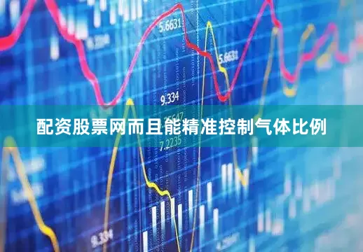 配资股票网而且能精准控制气体比例