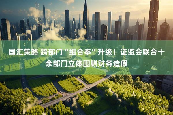 国汇策略 跨部门“组合拳”升级！证监会联合十余部门立体围剿财务造假