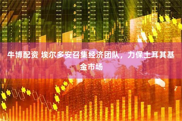 牛博配资 埃尔多安召集经济团队，力保土耳其基金市场